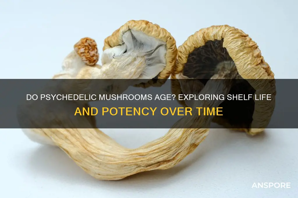 can psychedelic mushrooms get old