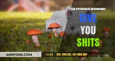 Psychedelic Mushrooms and Digestive Effects: Debunking the 'Shits' Myth