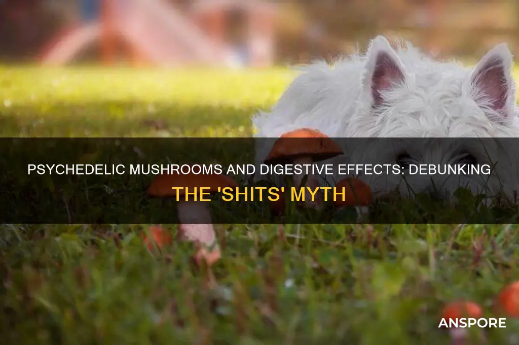 can psychedelic mushrooms give you shits