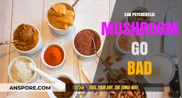 Do Psychedelic Mushrooms Expire? Shelf Life and Safety Concerns Explained