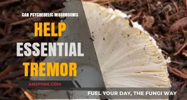 Psychedelic Mushrooms: A Potential Treatment for Essential Tremor?