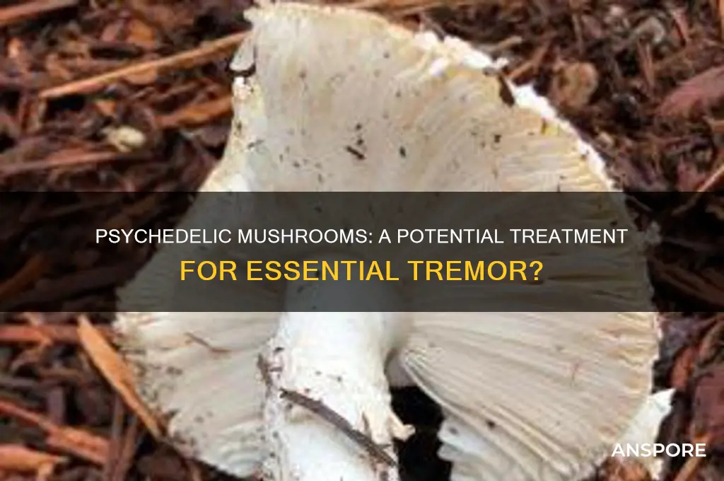 can psychedelic mushrooms help essential tremor