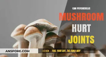 Psychedelic Mushrooms and Joint Health: Potential Risks Explored