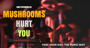 Psychedelic Mushrooms: Potential Risks and Harmful Effects Explained