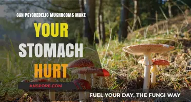 Psychedelic Mushrooms and Stomach Pain: Unraveling the Uncomfortable Truth