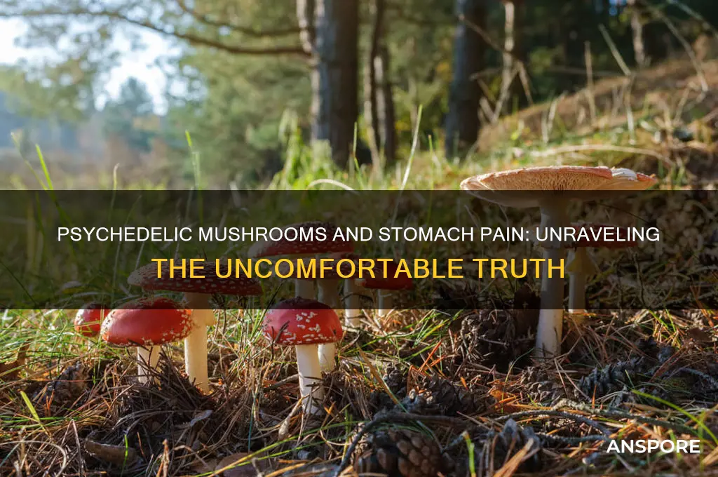 can psychedelic mushrooms make your stomach hurt