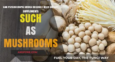 Psychotropic Drugs and Mushrooms: Potential Interactions with Dietary Supplements