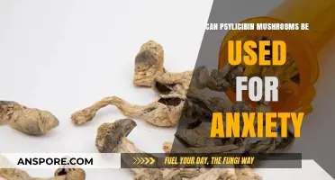 Exploring Psilocybin Mushrooms as a Potential Anxiety Treatment Option