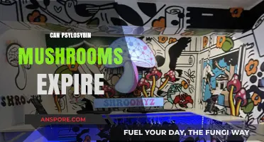 Do Psilocybin Mushrooms Expire? Shelf Life and Storage Tips