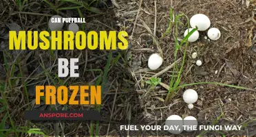 Freezing Puffball Mushrooms: A Guide to Preservation and Storage