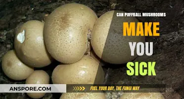 Can Puffball Mushrooms Make You Sick? Risks and Safe Identification Tips