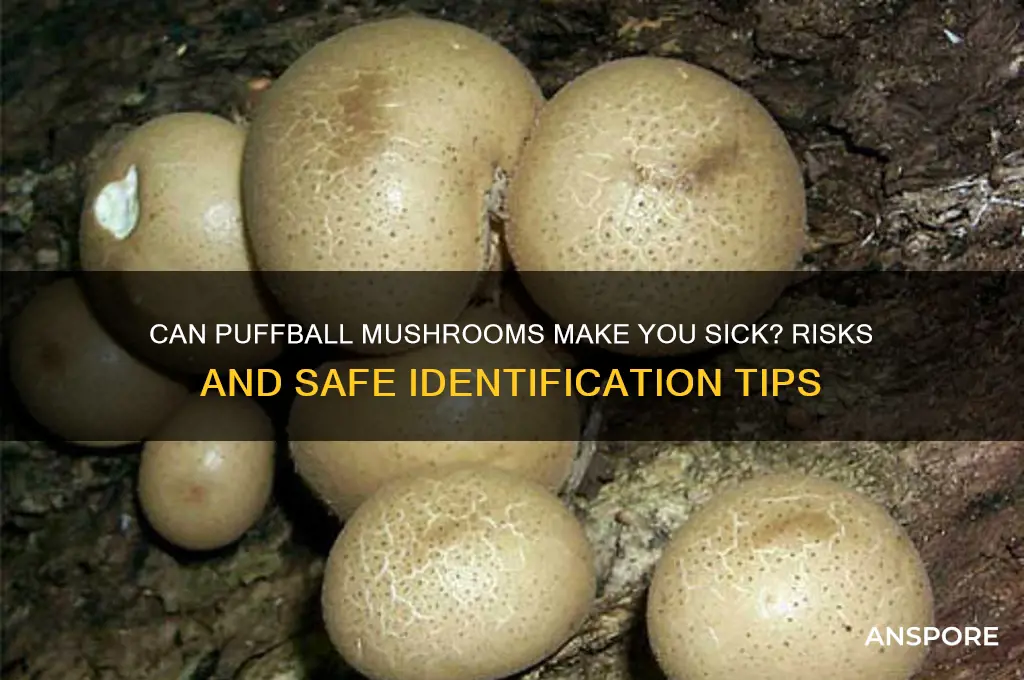 can puffball mushrooms make you sick