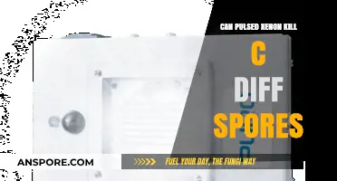 Pulsed Xenon UV Light: Effective Against C. Diff Spores?