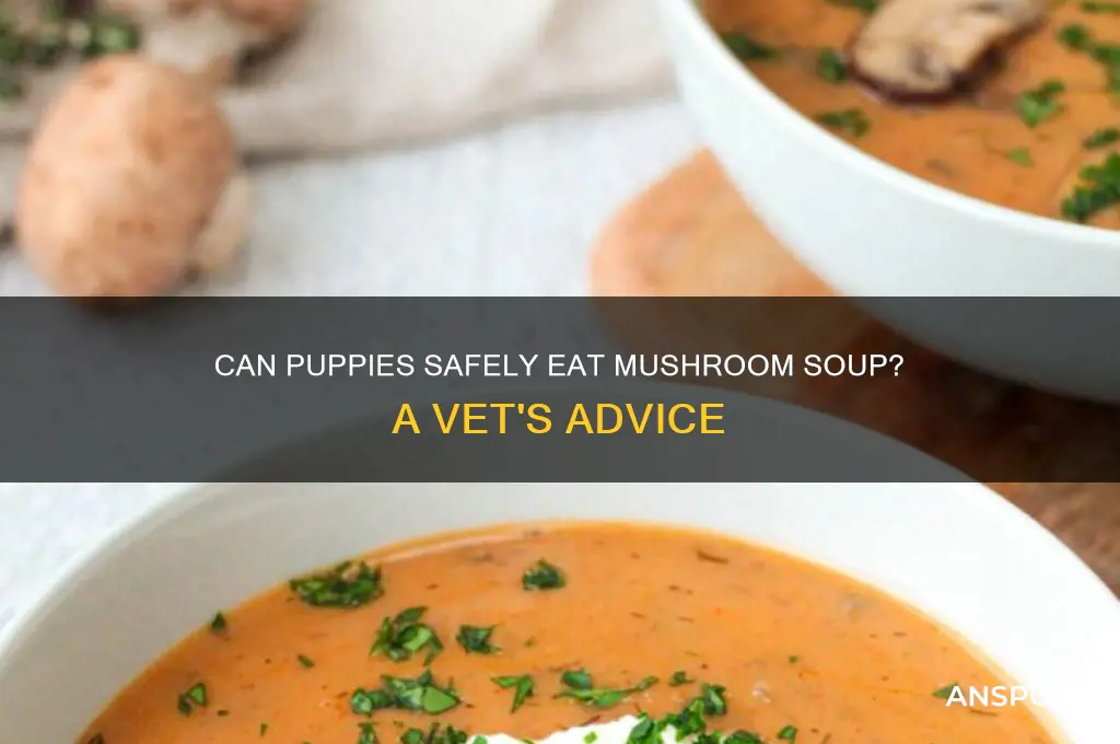 can puppies eat mushroom soup
