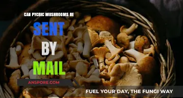 Mailing Psilocybin Mushrooms: Legal Risks and Postal Regulations Explained