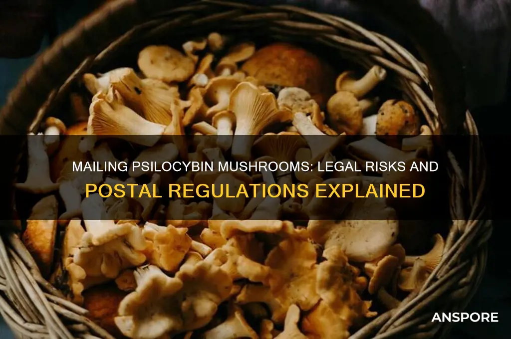 can pycbic mushrooms be sent by mail