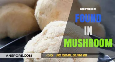 Exploring the Presence of H. Pylori in Mushrooms: Facts and Myths