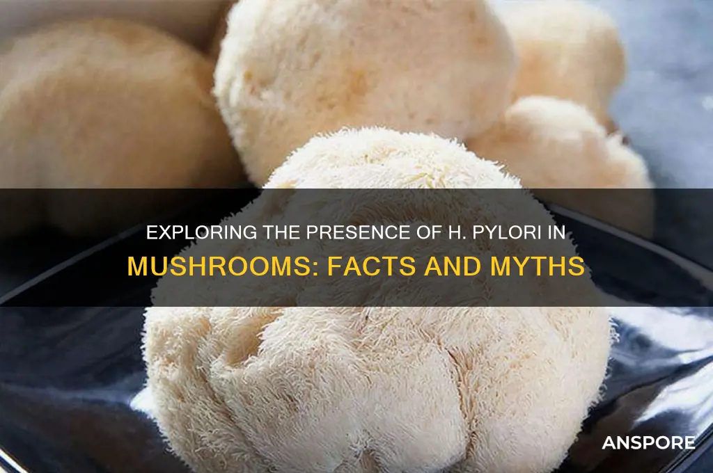 can pylori be found in mushrooms