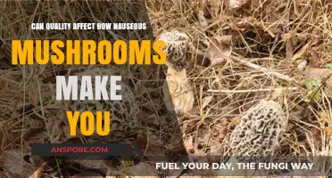 Quality Matters: How Mushroom Freshness Impacts Nausea Levels