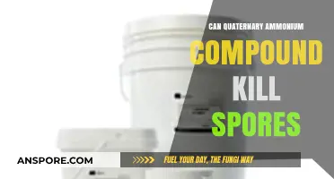 Quaternary Ammonium Compounds: Effective Against Spores or Limited Disinfection?