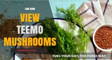 Can Quin Spot Teemo's Mushrooms? A League of Legends Insight