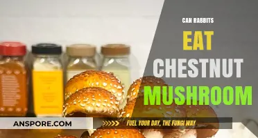 Can Rabbits Safely Eat Chestnut Mushrooms? A Complete Guide
