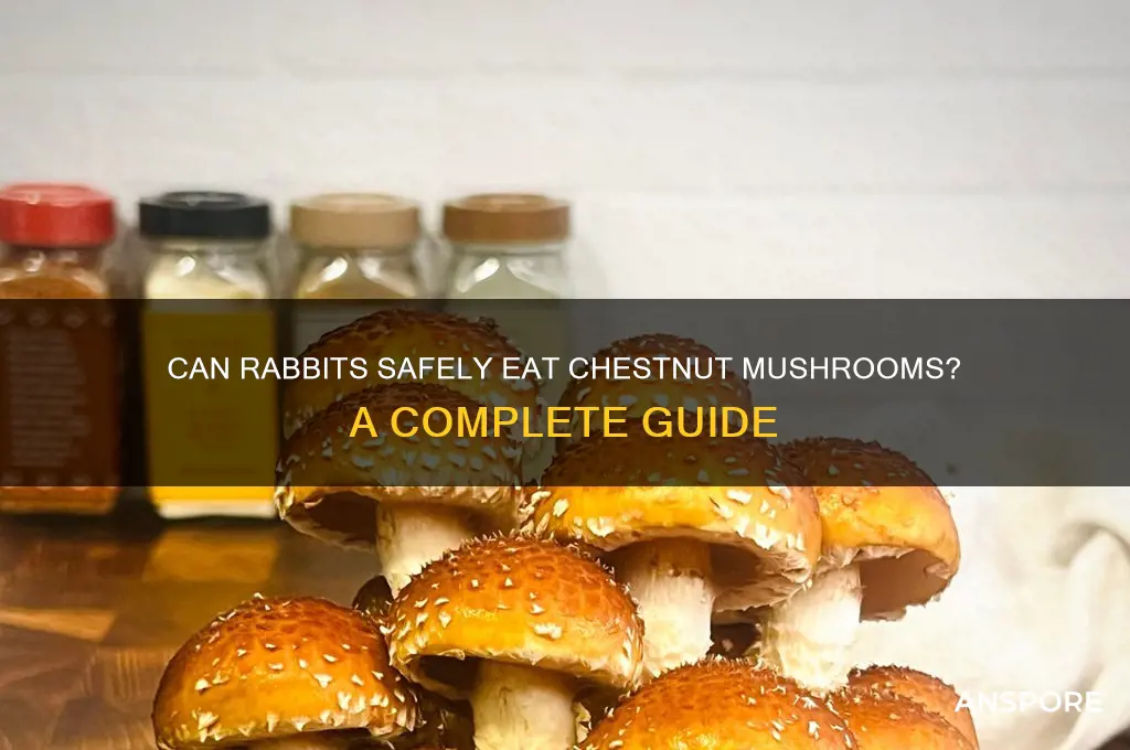 can rabbits eat chestnut mushrooms