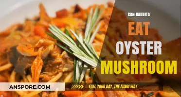 Can Rabbits Safely Eat Oyster Mushrooms? A Complete Guide