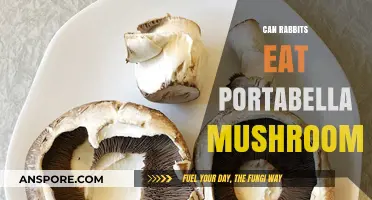 Can Rabbits Safely Eat Portabella Mushrooms? A Complete Guide