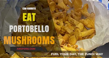 Can Rabbits Safely Eat Portobello Mushrooms? A Complete Guide