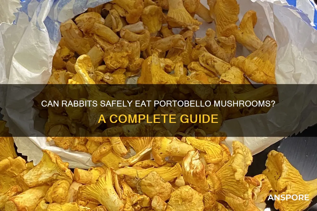 can rabbits eat portobello mushrooms