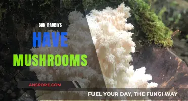 Can Rabbis Eat Mushrooms? Exploring Jewish Dietary Laws and Fungi