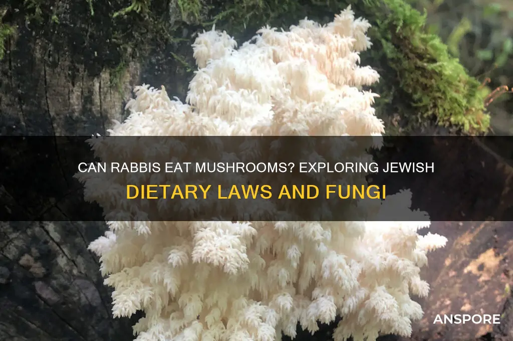 can rabbiys have mushrooms
