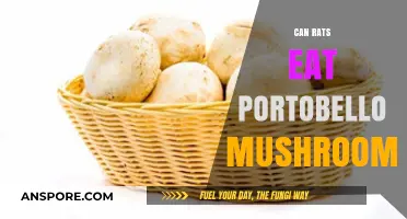 Can Rats Safely Eat Portobello Mushrooms? A Nutritional Guide