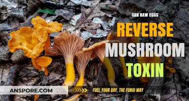 Raw Eggs and Mushroom Toxins: Debunking the Reversal Myth