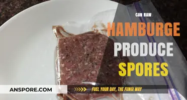 Can Raw Hamburger Produce Spores? Uncovering the Truth Behind Food Safety