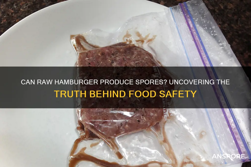 can raw hamburger produce spores