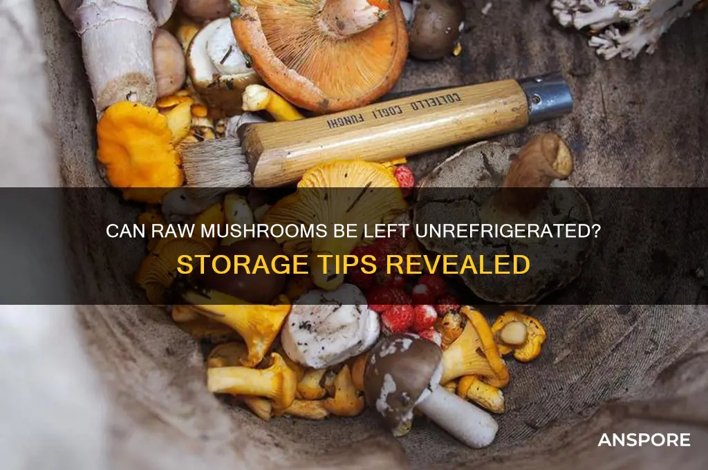 can raw mushrooms be left unrefrigerated