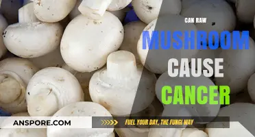 Raw Mushrooms and Cancer: Unraveling the Truth Behind the Myth