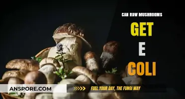 Can Raw Mushrooms Carry E. Coli? Facts and Food Safety Tips