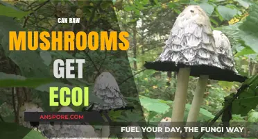 Can Raw Mushrooms Cause Eco-Illness? Exploring the Risks and Facts