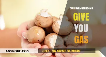 Can Raw Mushrooms Cause Gas? Exploring Digestive Effects and Tips