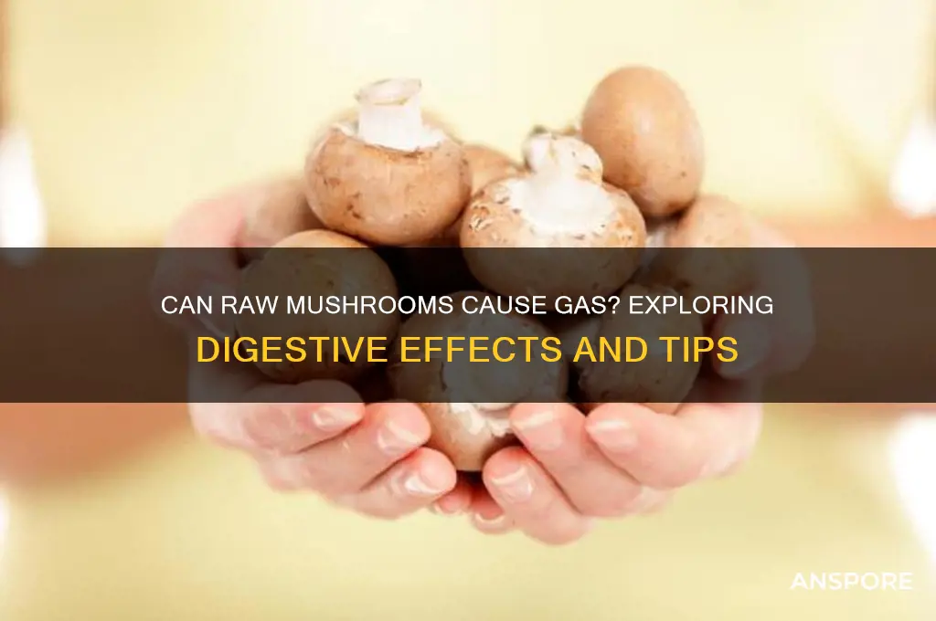 can raw mushrooms give you gas