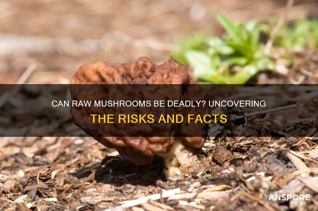 can raw mushrooms kill you
