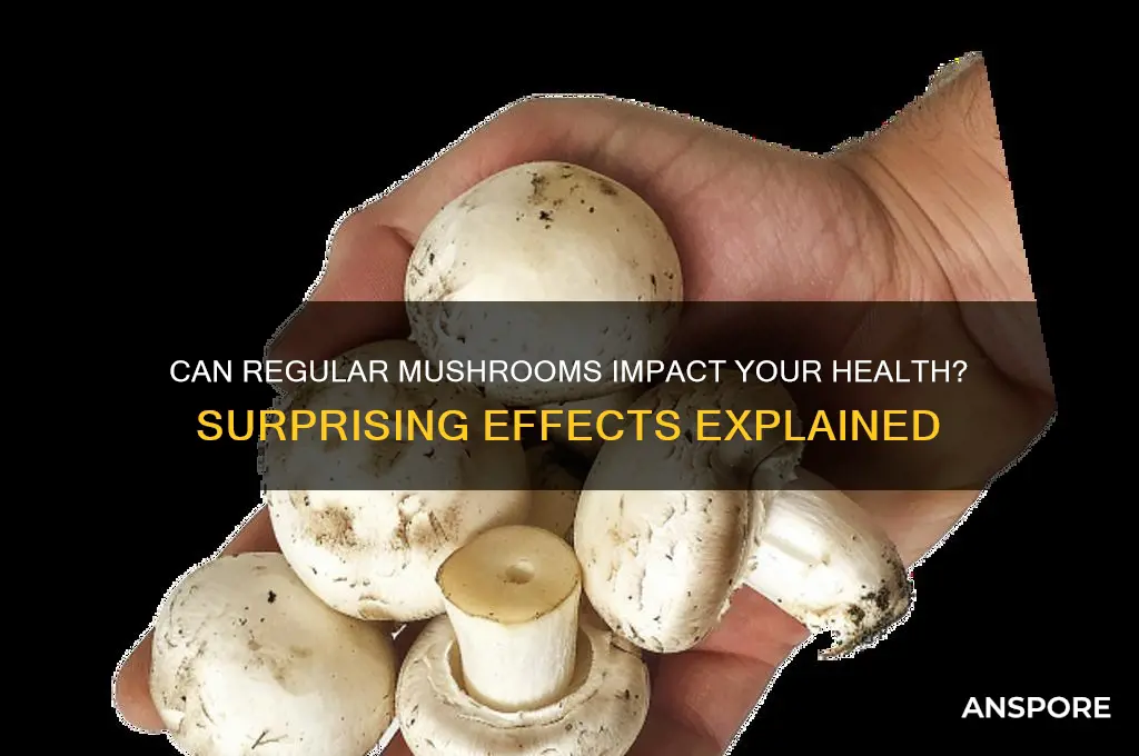 can reg mushrooms have affect on me