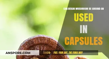 Grinding Reishi Mushrooms: Can You Capsule This Superfood?