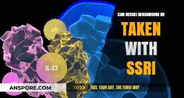 Reishi Mushroom and SSRIs: Safe Combination or Risky Interaction?