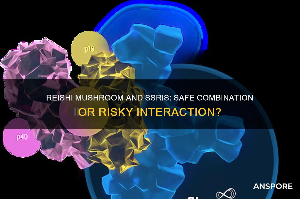 can reishi mushroom be taken with ssri