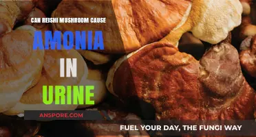 Reishi Mushroom and Ammonia in Urine: Unraveling the Connection