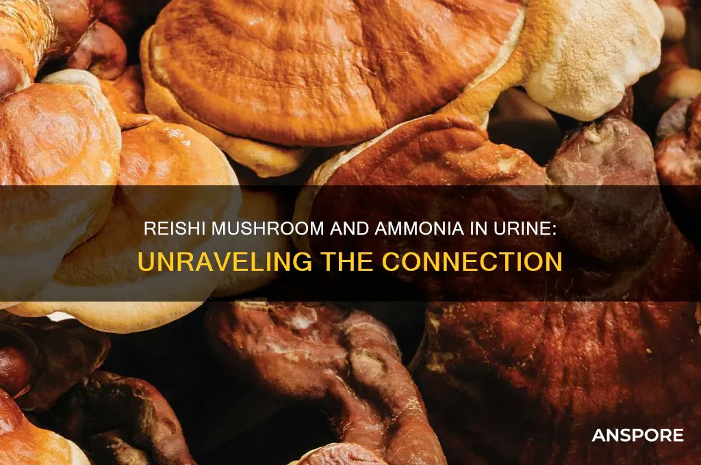 can reishi mushroom cause amonia in urine